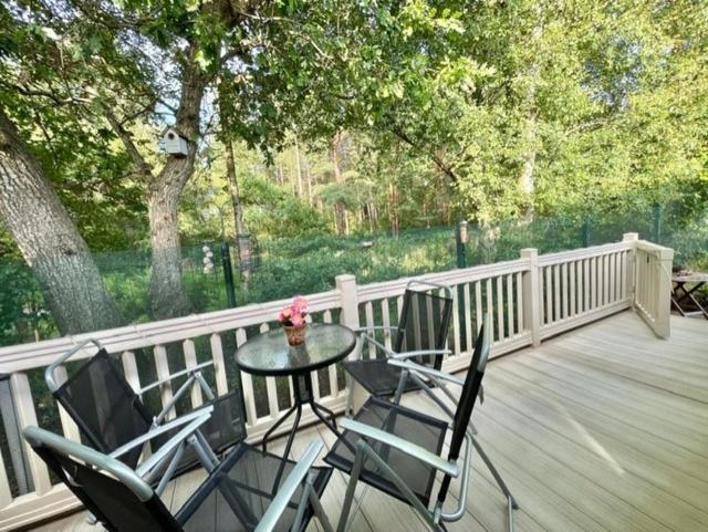 Forest View At Oakdene Forest Park - Leisure Passes Included! Ringwood Eksteriør billede